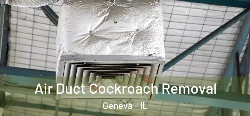 Air Duct Cockroach Removal Geneva - IL