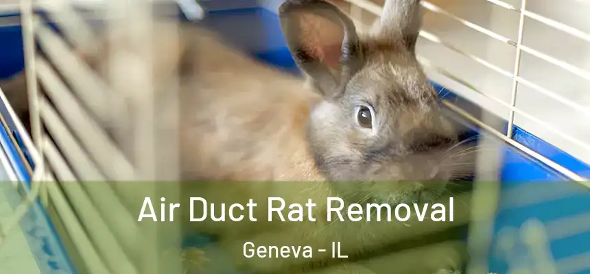  Air Duct Rat Removal Geneva - IL