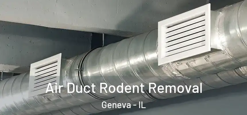  Air Duct Rodent Removal Geneva - IL