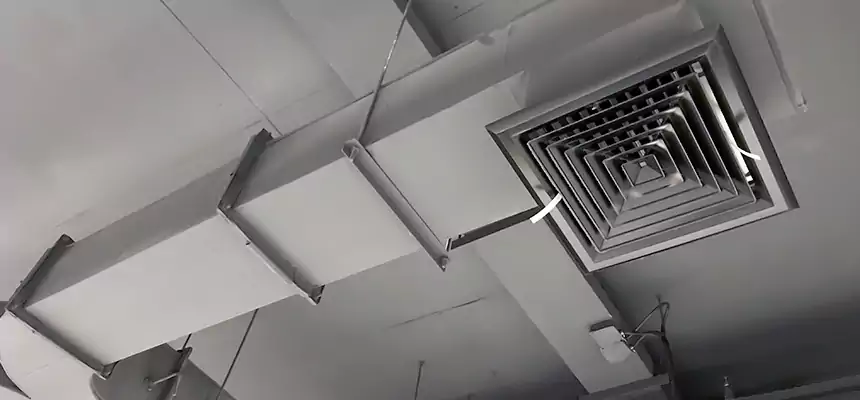 Restorative Allergy Relief Vent Cleaning – Coil, Blower & Housing Detail in Geneva