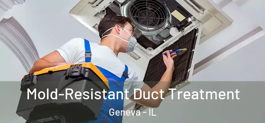  Mold-Resistant Duct Treatment Geneva - IL