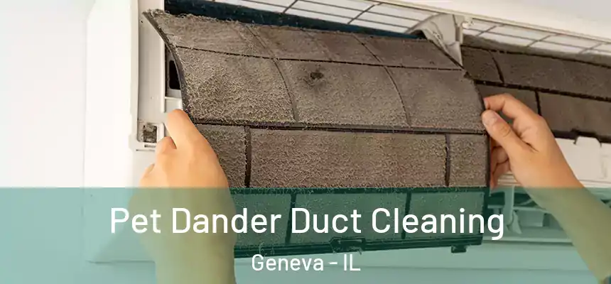 Pet Dander Duct Cleaning Geneva - IL