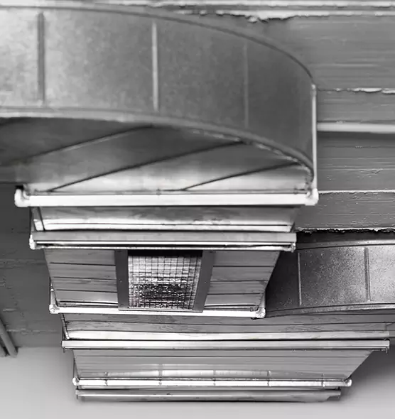 Professional Air Duct Pest Removal in Geneva, IL