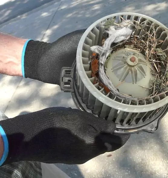 About Air Duct Rat Removal in Geneva, IL