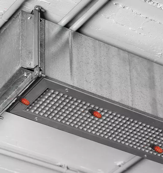 Affordable Insect Removal from Air Ducts in Geneva, IL