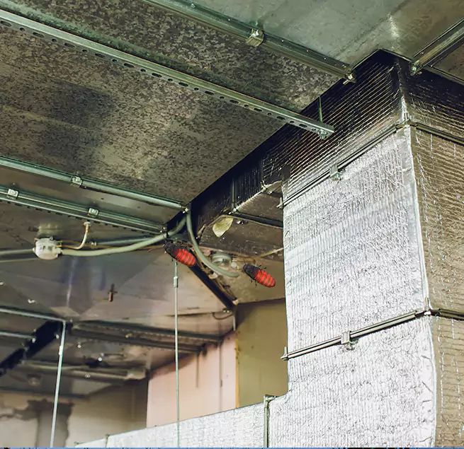 Why Homeowners & Businesses Trust Us in Geneva, IL?