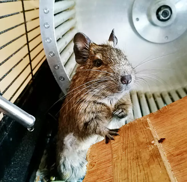 Why Homeowners & Businesses Trust Us Geneva, IL