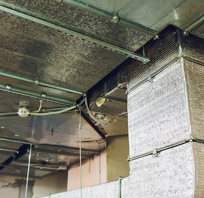 Why Homeowners & Businesses Trust Us in Geneva, IL?